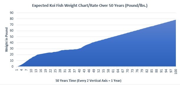 Expected Koi Fish Weight Chart/Rate Over 50 Years (Pound/lbs.) 
