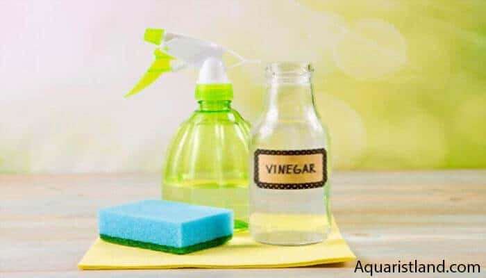 Vinegar Water Solution