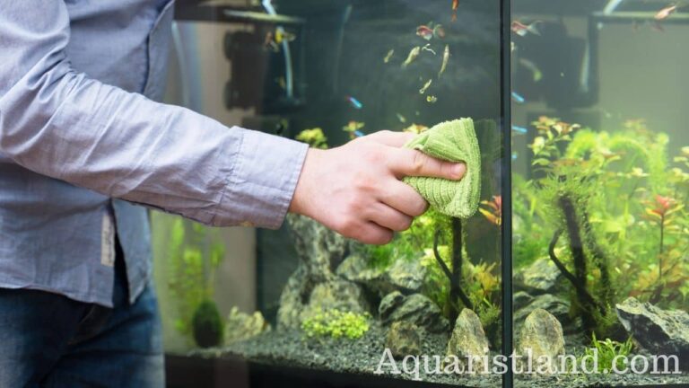 Cleaning Aquarium Glass