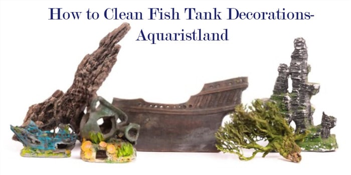 How to Clean Aquarium Decorations