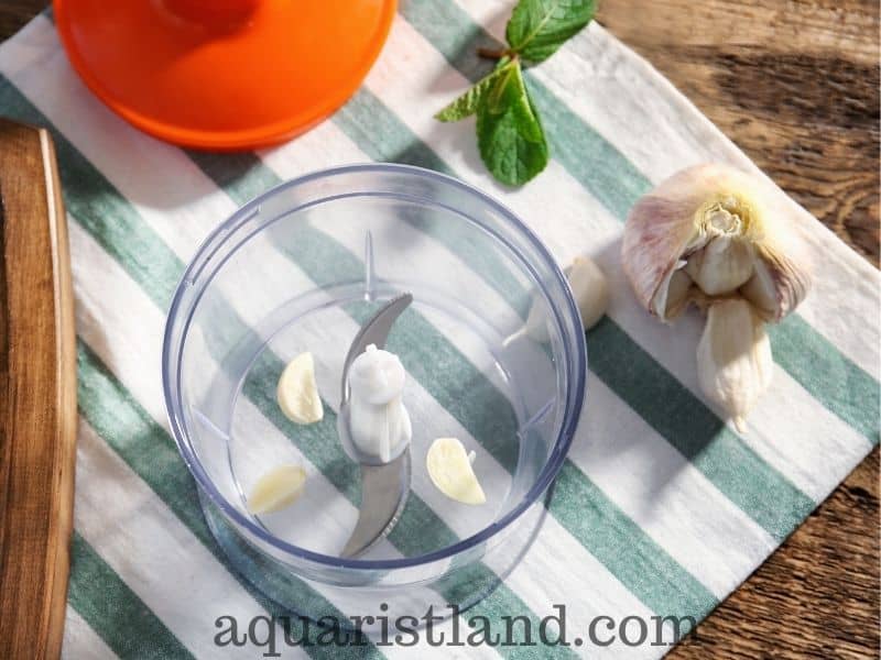 Preparing Garlic to Feed to Koi Fish