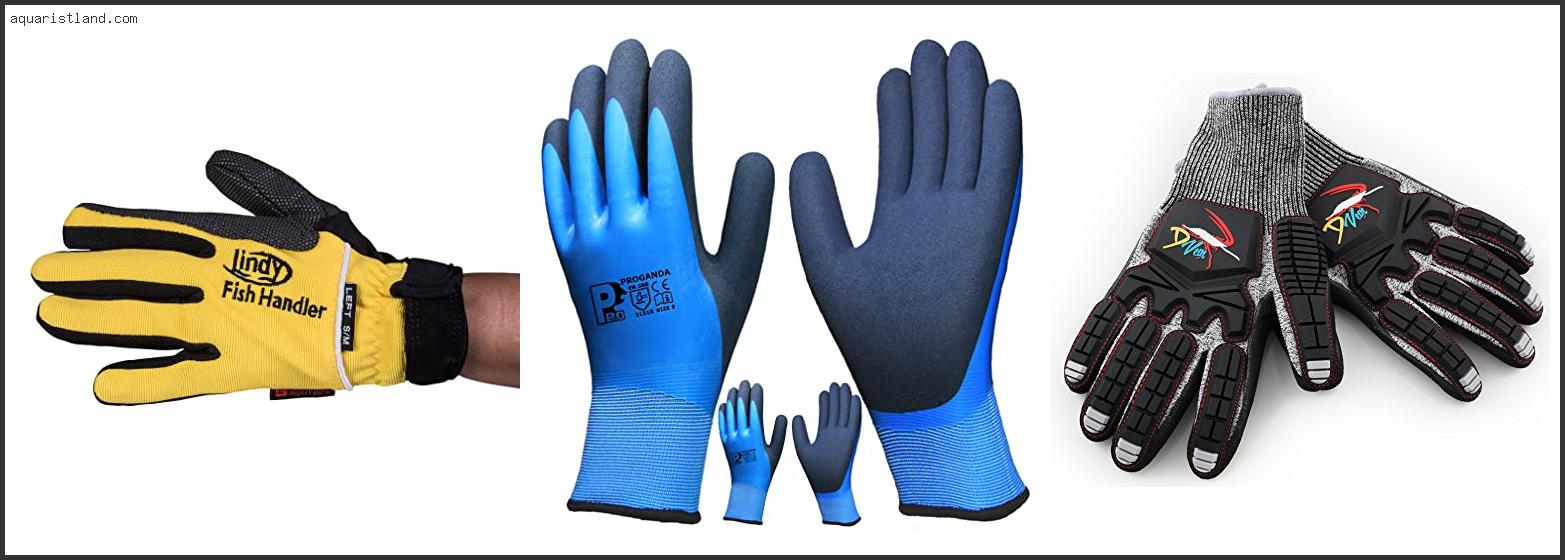 Best Gloves For Crabbing