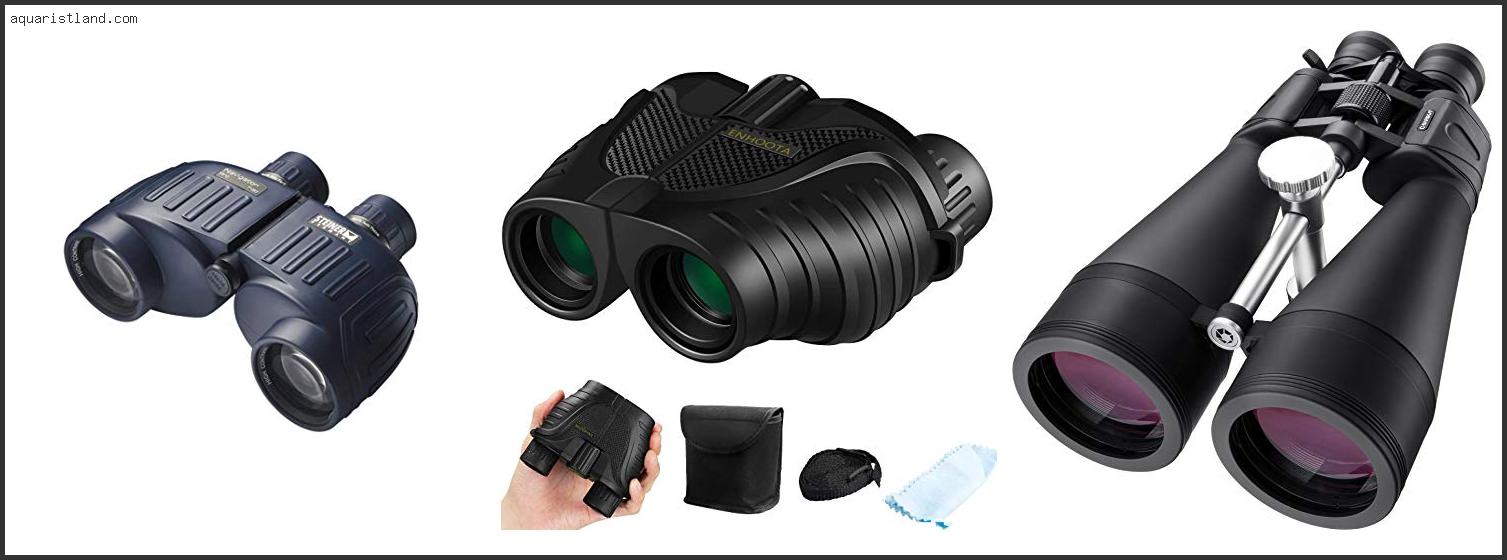 Best Binoculars For Whale Watching From Shore