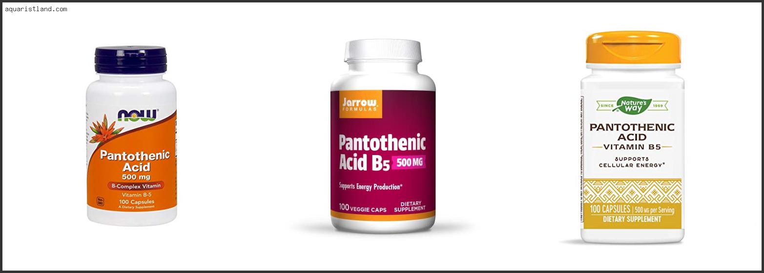 Best Brand Of Pantothenic Acid