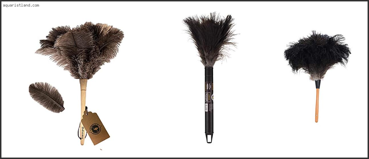 Best Ostrich Feather Duster Uk