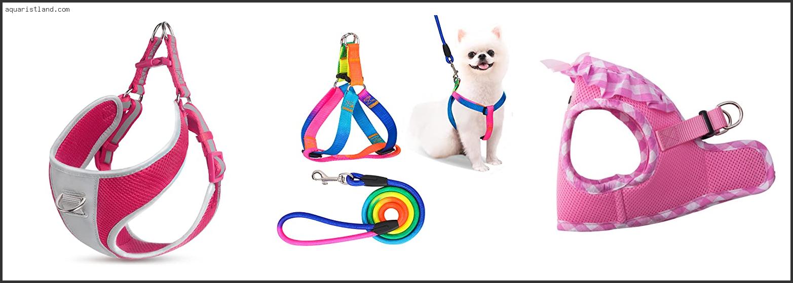 Best Dog Harness For Pekingese