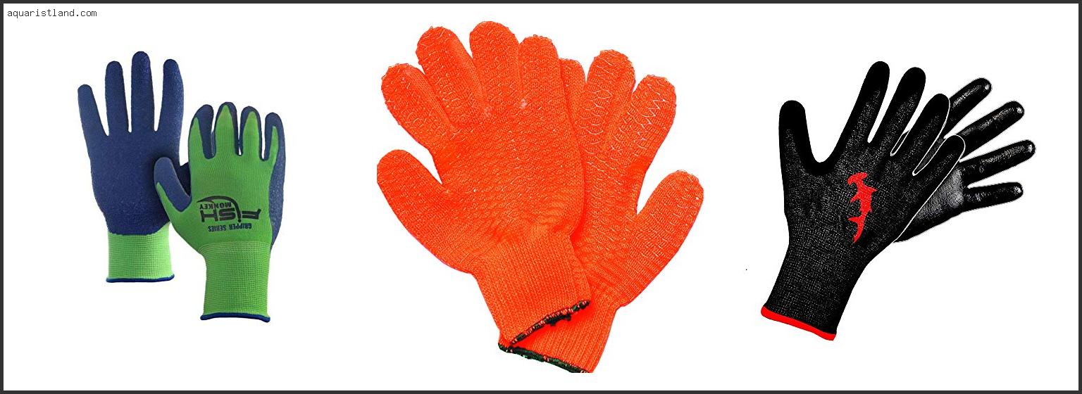 Best Gloves For Lobstering