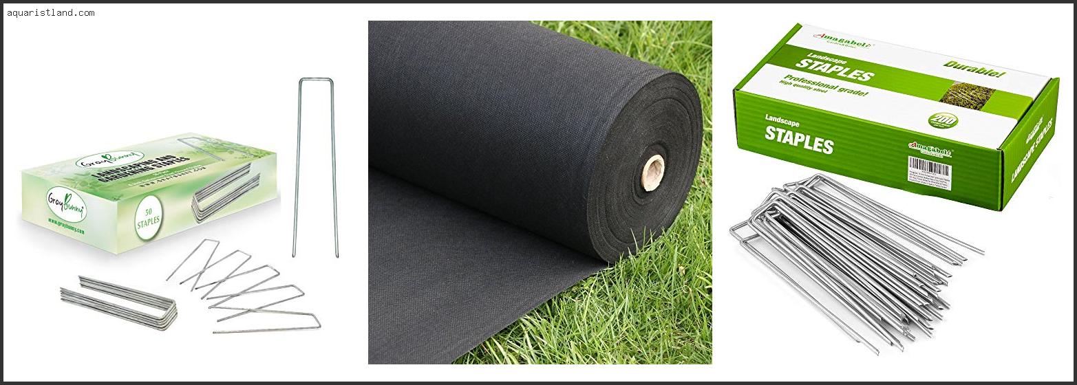 Best Weed Control Fabric For Artificial Grass