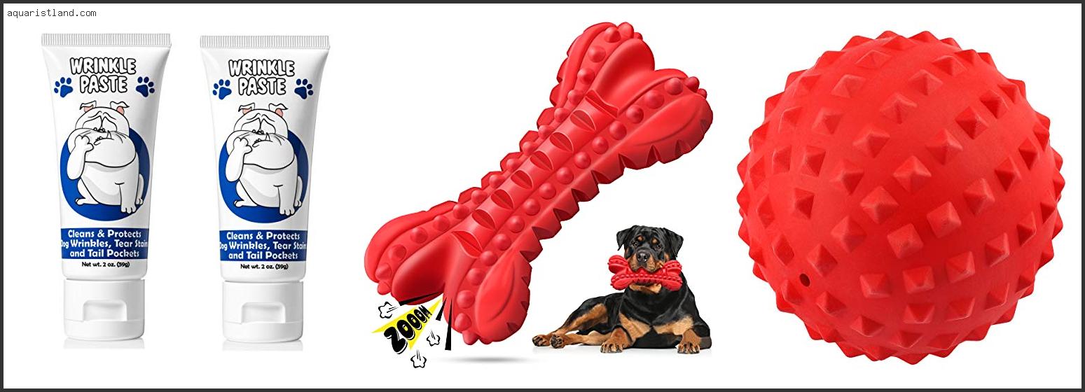 Best Dog Toys For English Bulldogs