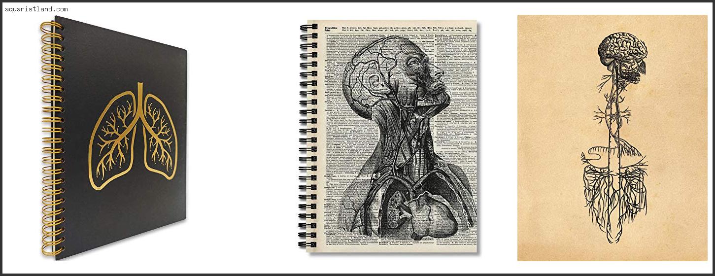Top 10 Best Notebook For Anatomy [2022]