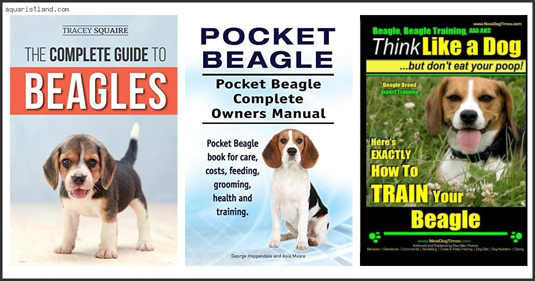 Top 10 Best Beagle Training Books [2022]