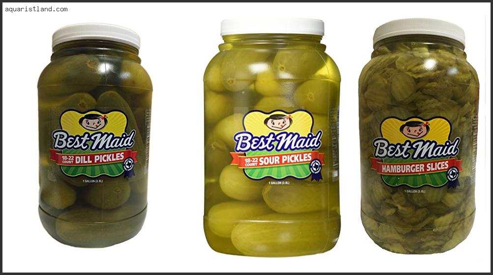 Top 10 Best Maid Xtreme Sour Pickles [2022]