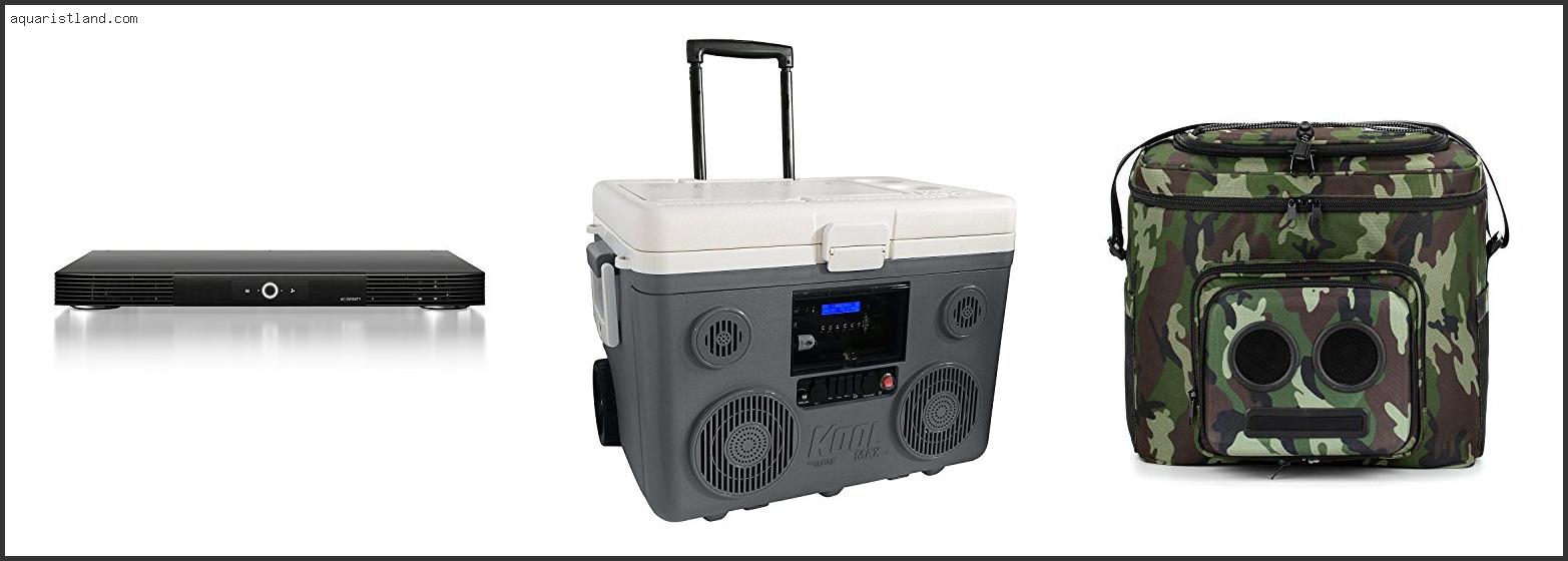 Top 10 Best Stereo Cooler [2022]